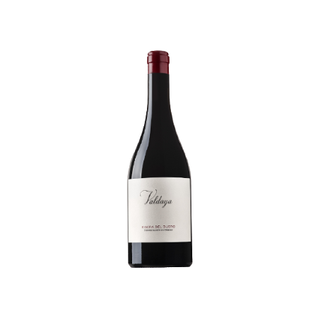 Tempranillo - Valdaya - Ribera del Duero - Spain