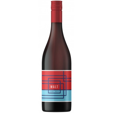 Pinot Noir - Walt - Siegel - Pfalz - Germany - 2019