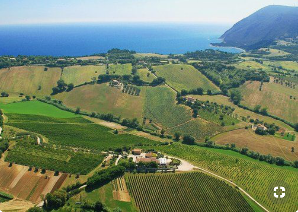 The Ides of Marche - The Hidden Gem of Italian Wine