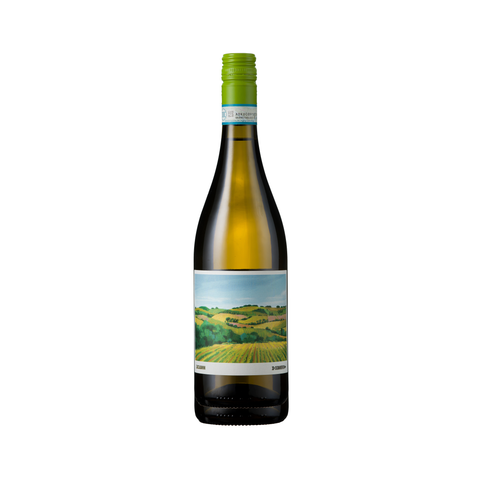 Verdicchio dei Castelli Di Jesi - Classico Superiore - Segnavento - Zaccagnini - Italy