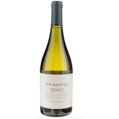 Chardonnay  - Otronia Block III & VI - Patagonia - Argentina - 2019