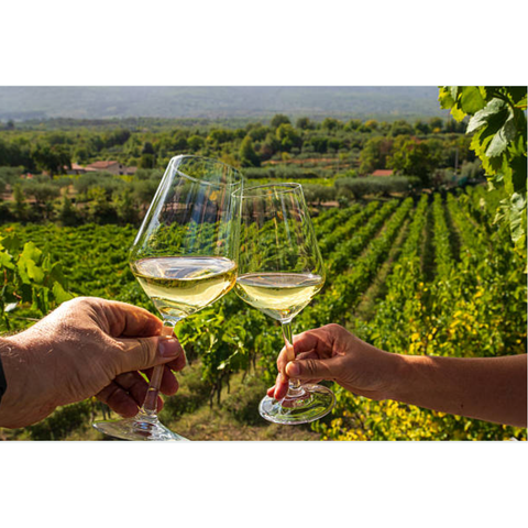 Summer Wine Tasting at Teals - Friday 7th August 2026 - 6-9pm